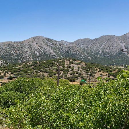 Villa Skyphos Ammoudari Dış mekan fotoğraf