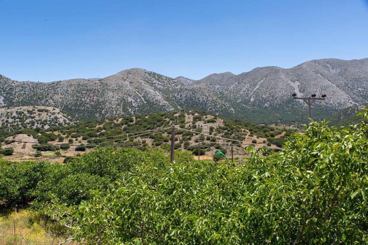 Villa Skyphos Ammoudari Dış mekan fotoğraf